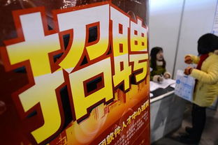 安徽舉辦大型招聘會(huì)