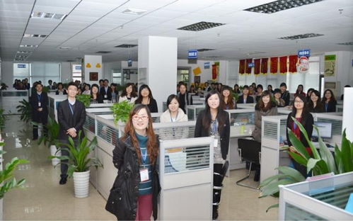 深圳金桔在線信息咨詢服務介紹